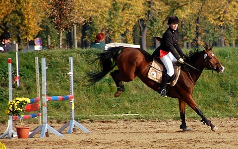 Stafettenspringen