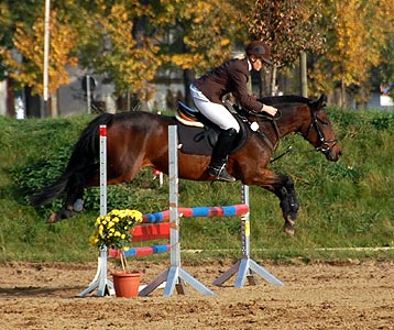 Stafettenspringen