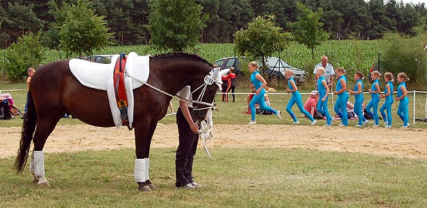Magdeburg II