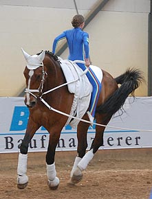 Turnier Herrenkrug Magdeburg I