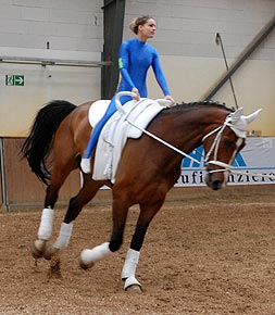 Turnier Herrenkrug Magdeburg I