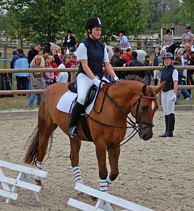 Schulpferdecup - Dressur