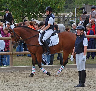 Schulpferdecup - Dressur