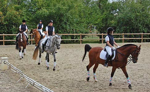 Schulpferdecup - Dressur