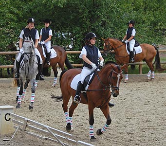 Schulpferdecup - Dressur