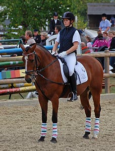 Schulpferdecup - Dressur