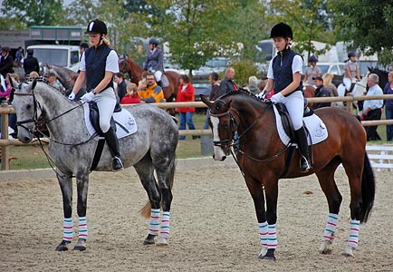 Schulpferdecup - Dressur