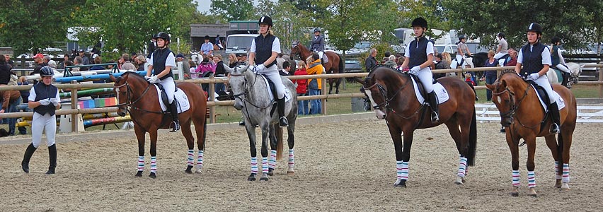 Schulpferdecup - Dressur