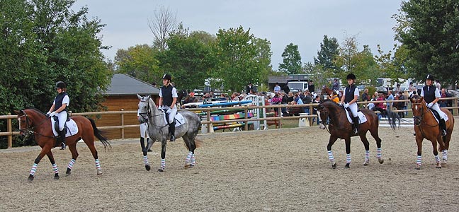 Schulpferdecup - Dressur