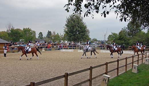 Schulpferdecup - Dressur