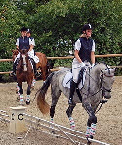 Schulpferdecup - Dressur