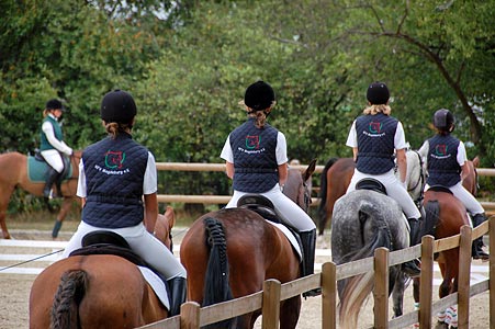 Schulpferdecup - Dressur