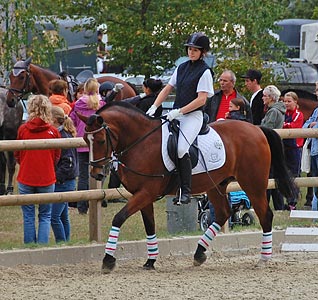 Schulpferdecup - Dressur
