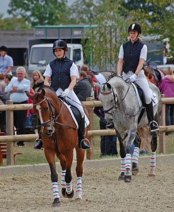 Schulpferdecup - Dressur