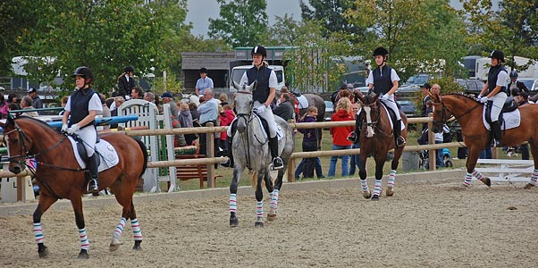 Schulpferdecup - Dressur