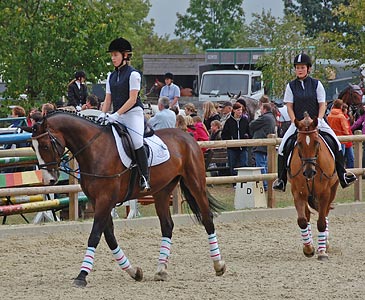 Schulpferdecup - Dressur