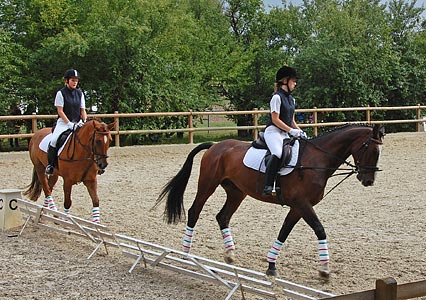 Schulpferdecup - Dressur