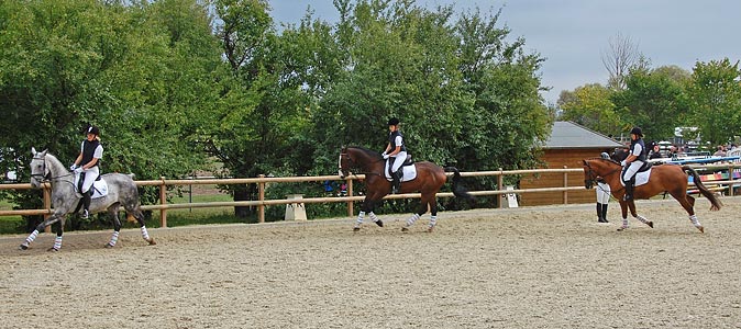 Schulpferdecup - Dressur