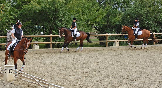 Schulpferdecup - Dressur
