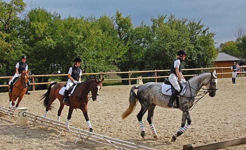 Schulpferdecup - Dressur