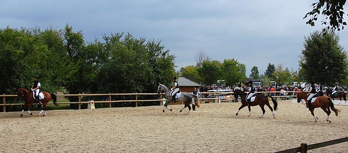 Schulpferdecup - Dressur