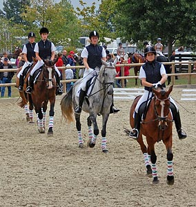 Schulpferdecup - Dressur