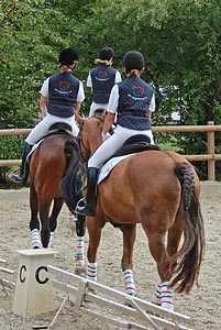 Schulpferdecup - Dressur