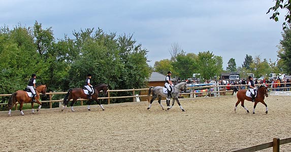 Schulpferdecup - Dressur