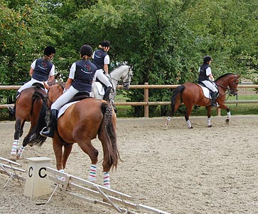 Schulpferdecup - Dressur