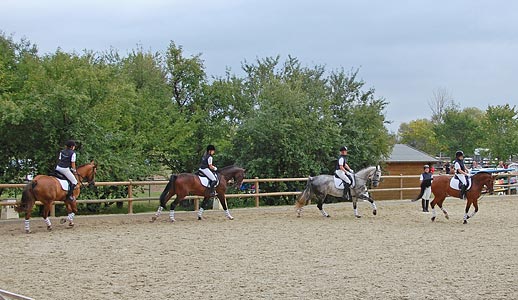 Schulpferdecup - Dressur