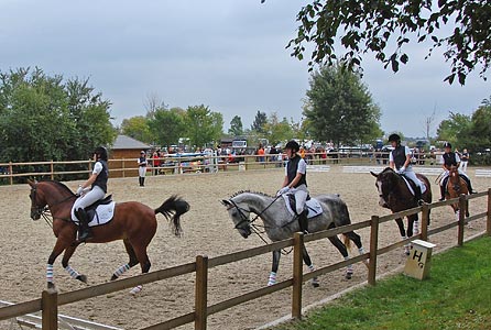 Schulpferdecup - Dressur
