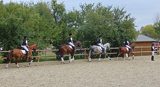 Schulpferdecup - Dressur