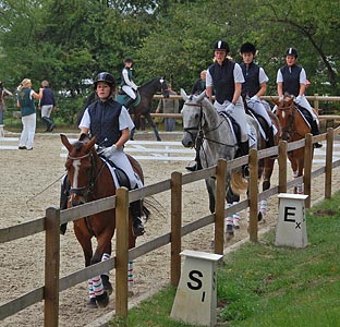 Schulpferdecup - Dressur