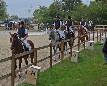 Schulpferdecup - Dressur