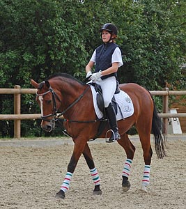 Schulpferdecup - Dressur