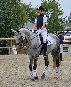 Schulpferdecup - Dressur