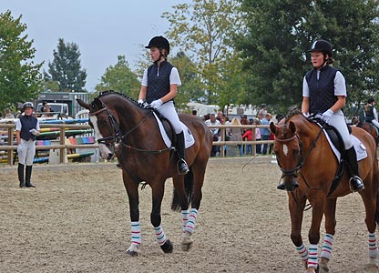 Schulpferdecup - Dressur