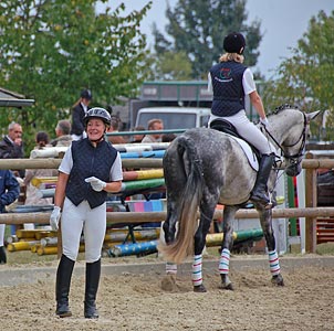 Schulpferdecup - Dressur
