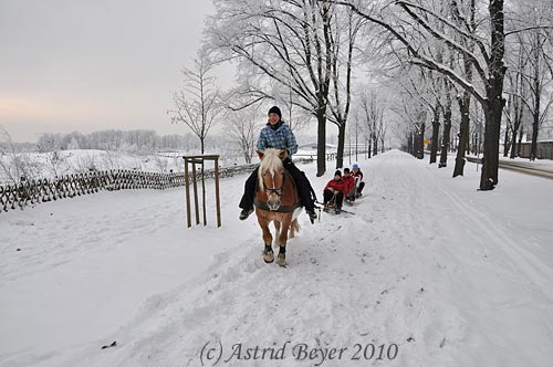 Winter II