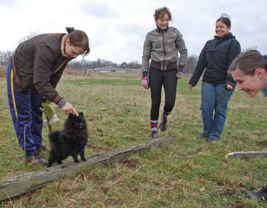 Arbeitseinsatz 27.03.2010