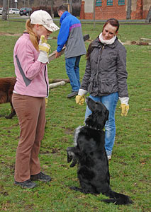 Arbeitseinsatz 27.03.2010