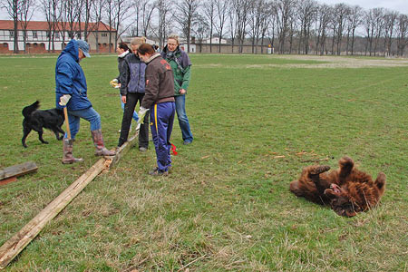 Arbeitseinsatz 27.03.2010