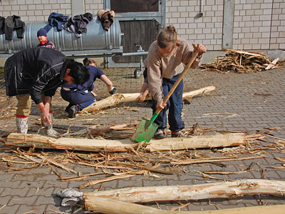 Arbeitseinsatz 27.03.2010