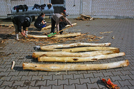 Arbeitseinsatz 27.03.2010