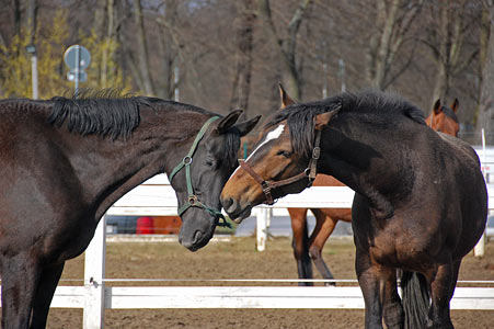 Arbeitseinsatz 27.03.2010