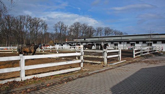 Arbeitseinsatz 27.03.2010