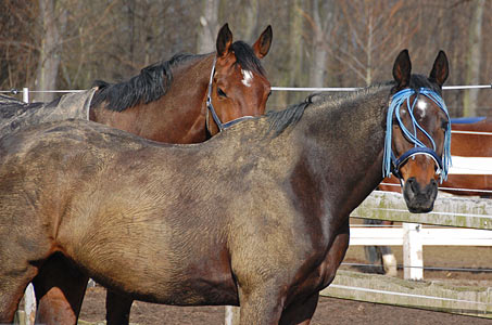 Arbeitseinsatz 27.03.2010