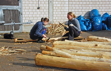 Arbeitseinsatz 27.03.2010