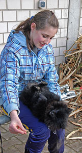 Arbeitseinsatz 27.03.2010