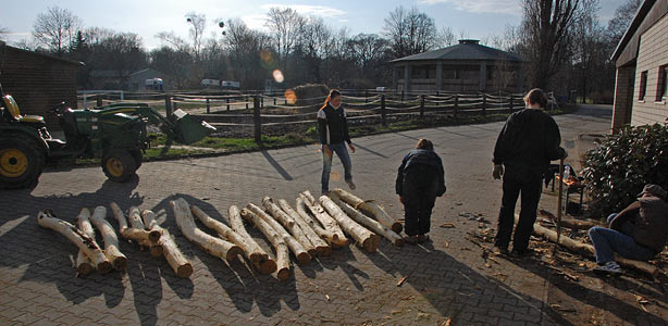 Arbeitseinsatz 27.03.2010